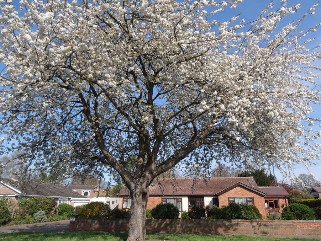 The Hideaway Suite Holiday Home Colchester Exterior foto